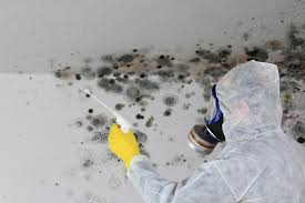 Best HVAC Mold Inspection and Cleaning  in Artesia, CA